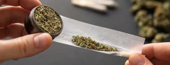 Cannabis Hybrid : quelles différences avec la Sativa et Indica ? — illustration
