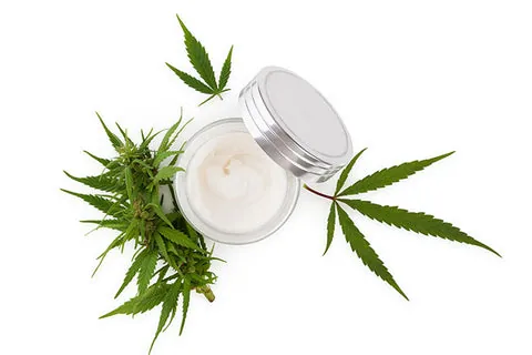 Chanvre, Cannabis CBD, de la fleur au chènevis — illustration