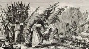 Définitions et Brève introduction à l’Histoire du chanvre