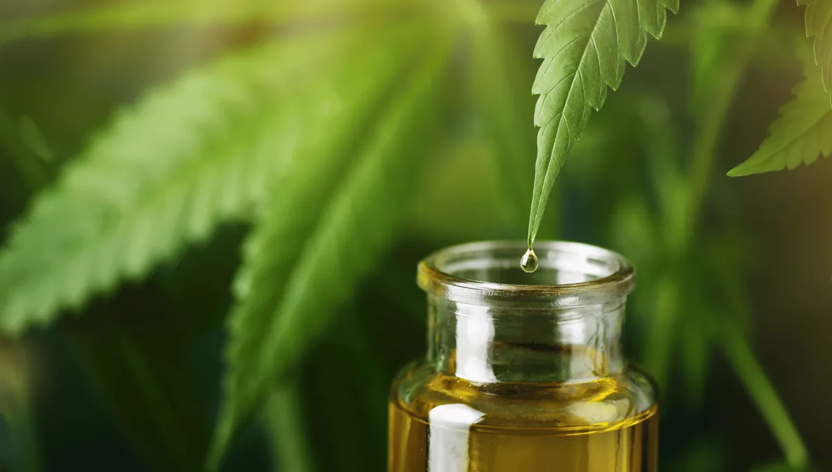 Combien de gouttes d’huile de CBD prendre selon ses besoins