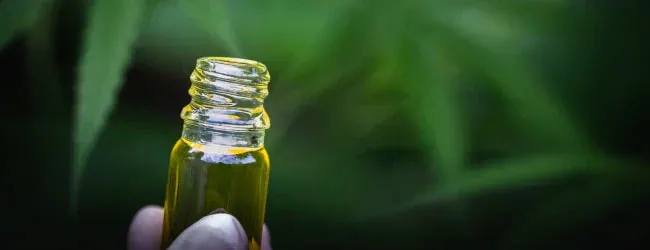 Quel pourcentage d'huile CBD choisir selon ses besoins ?
