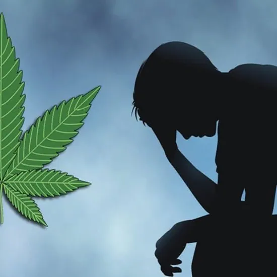 CBD et troubles psychologiques : état des connaissances