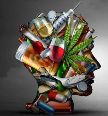 CBD et alcool : où en est la recherche