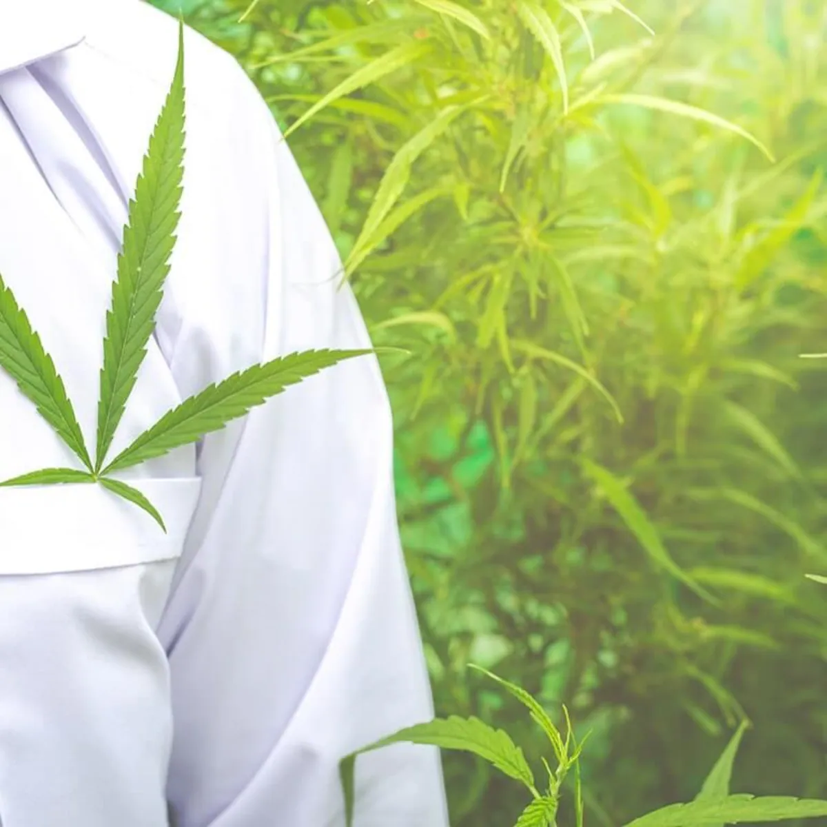 Effets indésirables du CBD : ce qu’il faut savoir