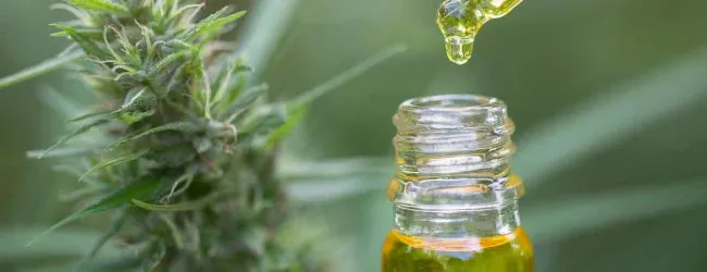 Comment lire une fiche technique ou un certificat d’analyse de produit au CBD ?