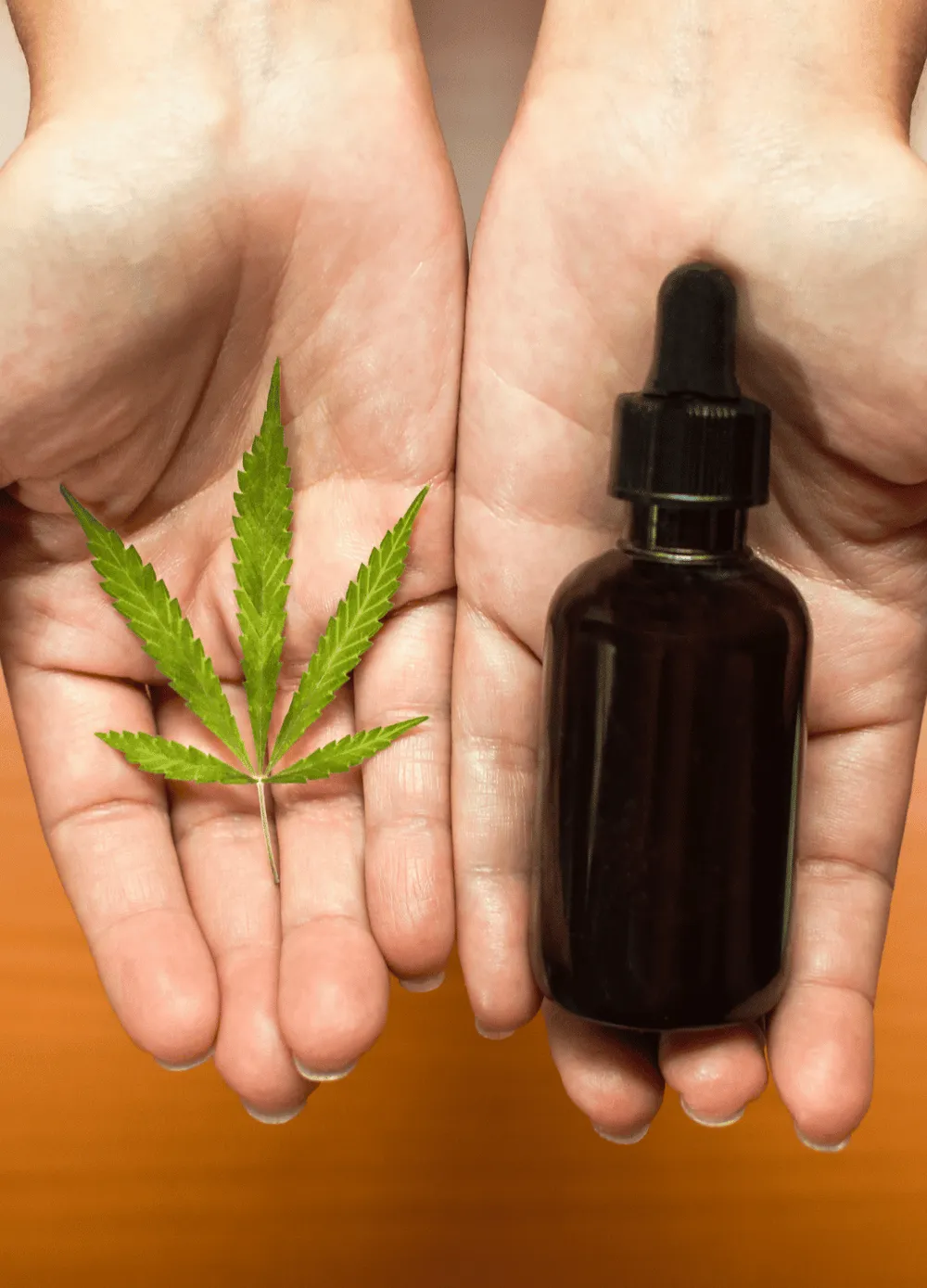 Quelle est la meilleure huile de CBD ? — illustration