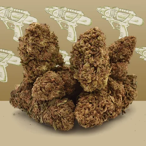 AK-47 — fleur de CBD greenhouse — vue principale
