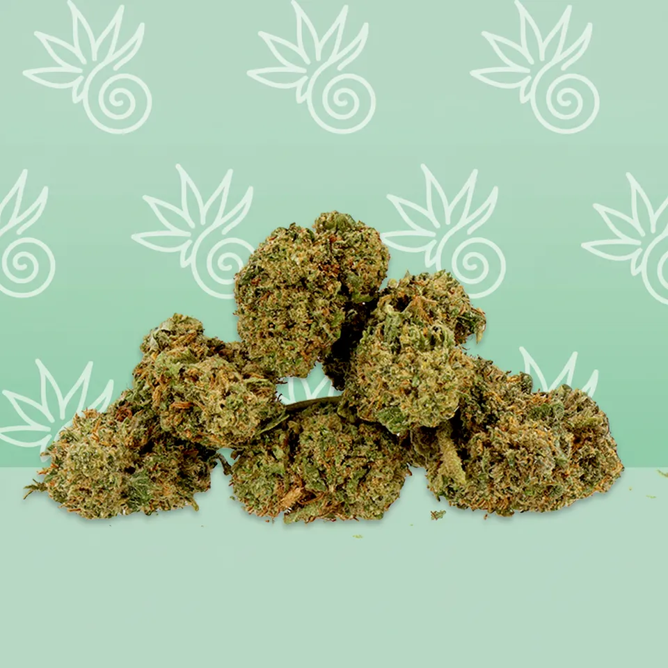 Amnesia Small Buds — fleur de CBD — vue principale