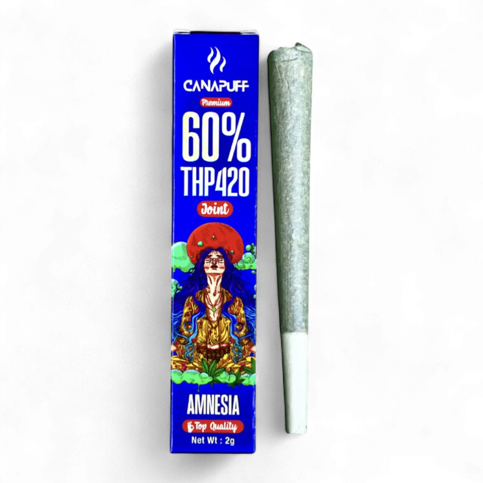 Amnesia 2g