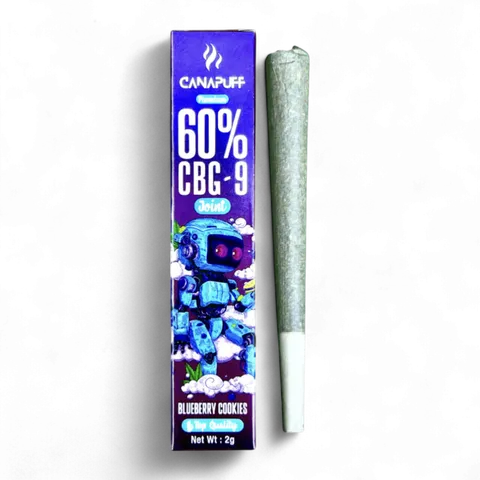 Blueberry Cookie 2g