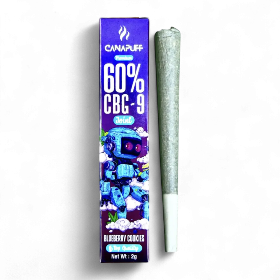 Blueberry Cookie 2g