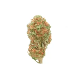 Blueberry — fleur de CBD greenhouse — vue 3 sur 3