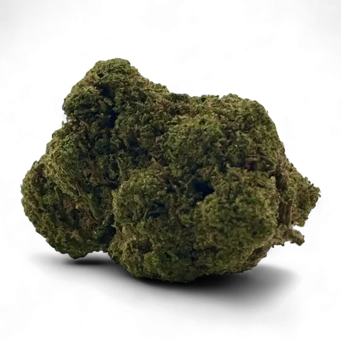 Mango+