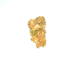 Bubba Kush — fleur de CBD greenhouse — vue 3 sur 3