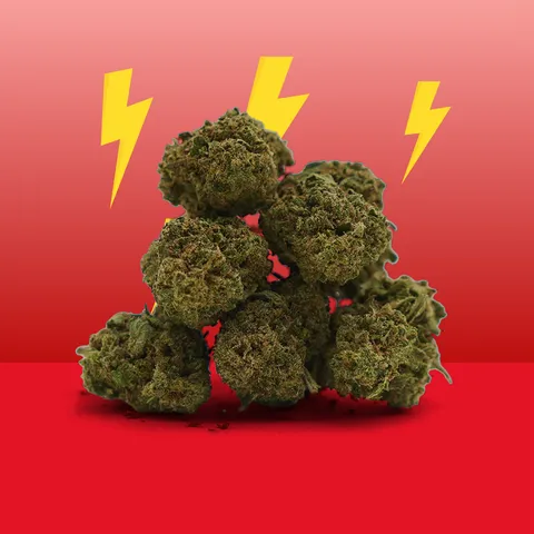Cannatonic — fleur de CBD greenhouse — vue principale