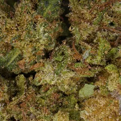 Cannatonic — fleur de CBD greenhouse — vue 2 sur 3