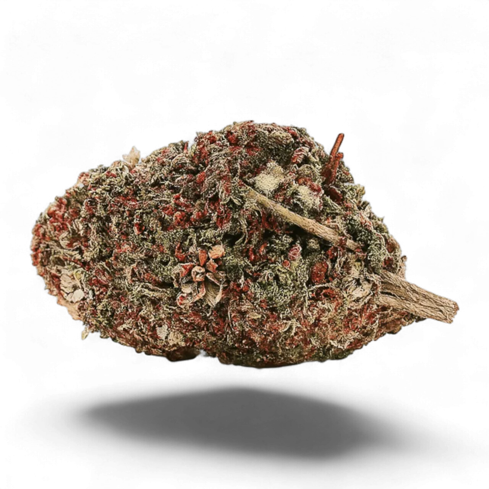 Gelato+