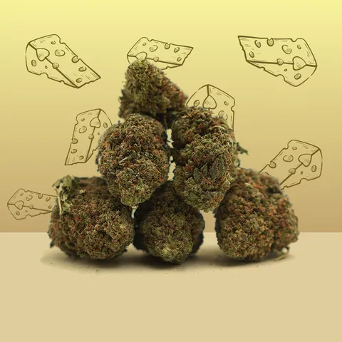 Royal Cheese — fleur de CBD greenhouse — vue principale