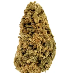 AK-47 — fleur de CBD greenhouse — vue 2 sur 8