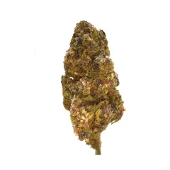 Purple Haze — fleur de CBD indoor — vue 3 sur 3