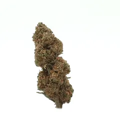 Strawberry — fleur de CBD indoor — vue 3 sur 3