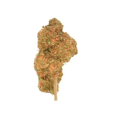 Wedding Cake — fleur de CBD indoor — vue 3 sur 3