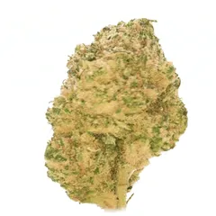 Critical+ 2.0 — fleur de CBD hydroponique — vue 3 sur 3