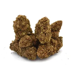 AK-47 — fleur de CBD greenhouse — vue 3 sur 8