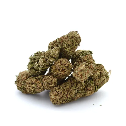 Ganesh — fleur de CBD outdoor — vue principale