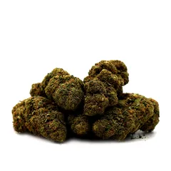 V1 Super Silver Haze — fleur de CBD indoor — vue 3 sur 4