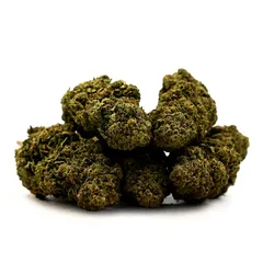 Hawaiian — fleur de CBD indoor — vue 4 sur 4