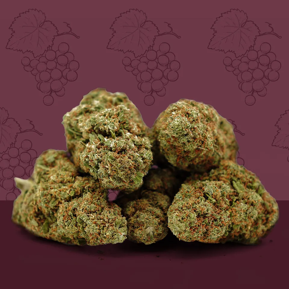 Cali Grape — fleur de CBD indoor — vue principale