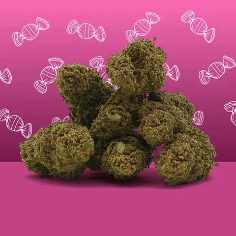 Zkittlez — fleur de CBD greenhouse — vue principale
