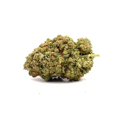 Frozen — fleur de CBD hydroponique — vue 2 sur 3