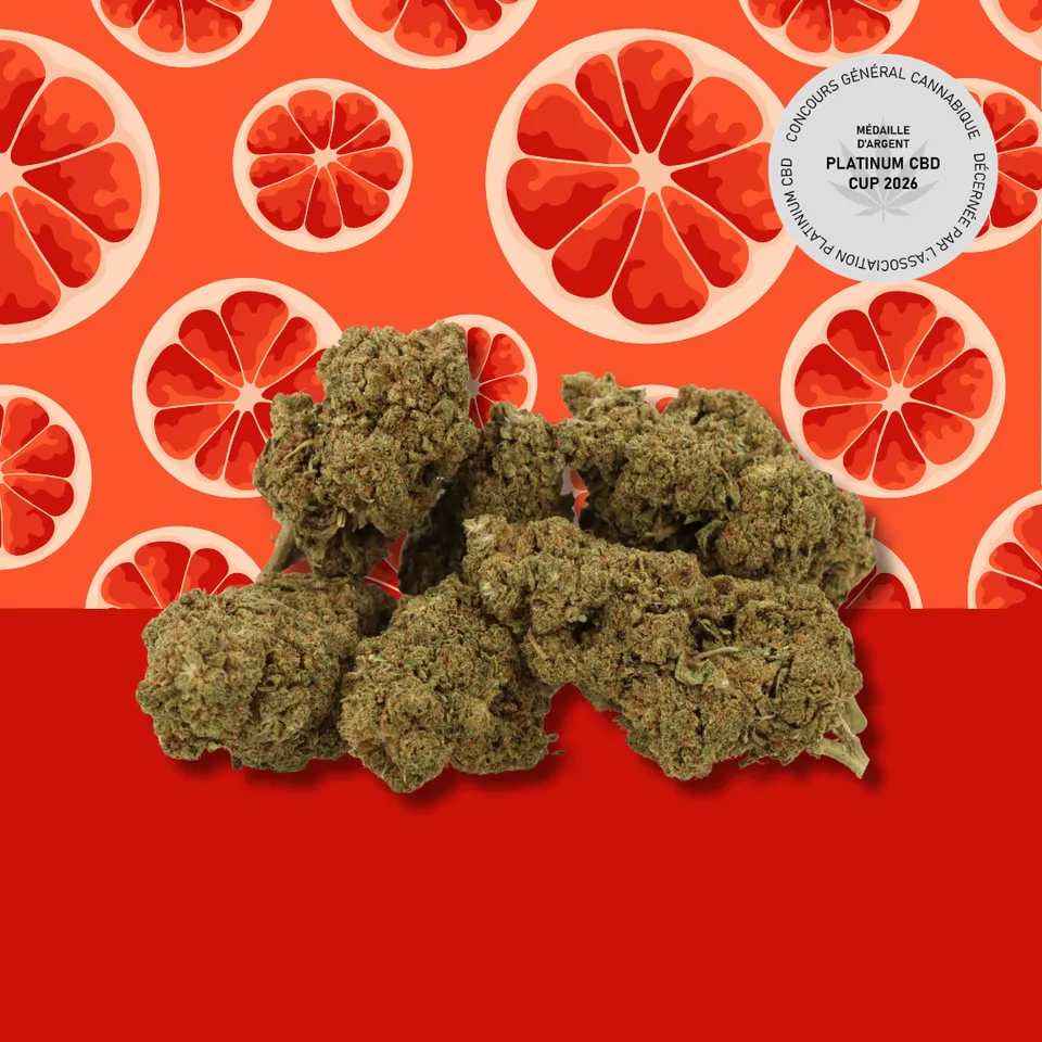 Grapefruit — fleur de CBD greenhouse — vue principale