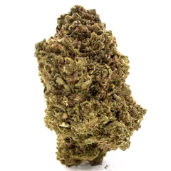 Hawaiian — fleur de CBD indoor — vue 2 sur 4