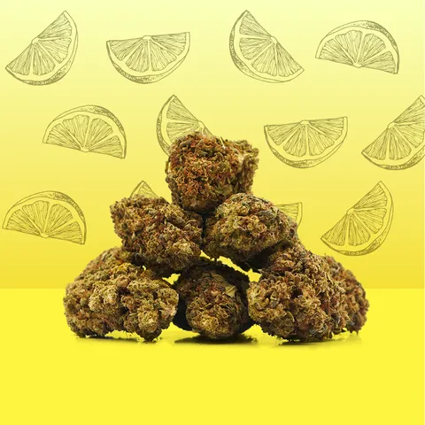 Lemon — fleur de CBD greenhouse — vue principale
