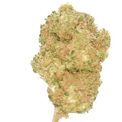 Mandarine — fleur de CBD hydroponique — vue 3 sur 3