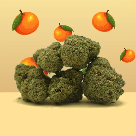 Mandarine — fleur de CBD hydroponique — vue principale