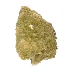 Northern Lights — fleur de CBD greenhouse — vue 3 sur 3