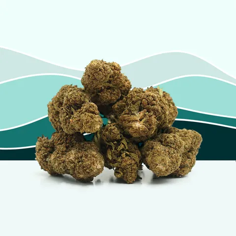 OG Kush — fleur de CBD greenhouse — vue principale
