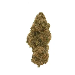 OG Kush — fleur de CBD greenhouse — vue 3 sur 3