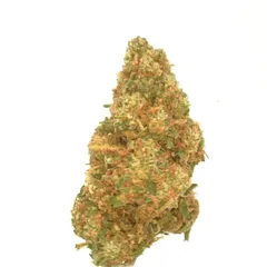 Orange Bud — fleur de CBD greenhouse — vue 3 sur 3
