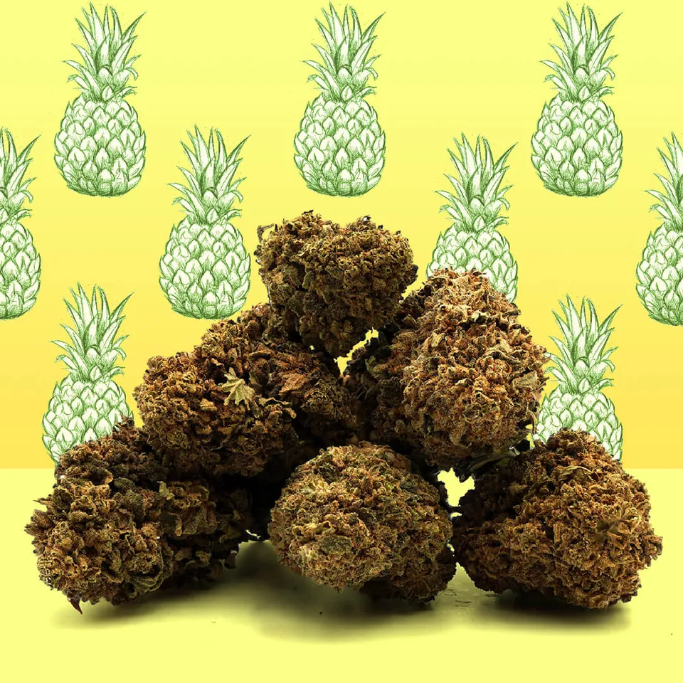 Pineapple Express — fleur de CBD greenhouse — vue principale