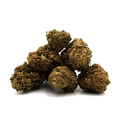 Pineapple Express — fleur de CBD greenhouse — vue 3 sur 8