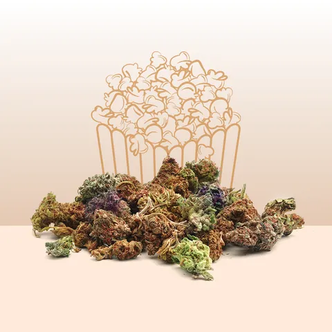 Popcorn - Special — fleur de CBD