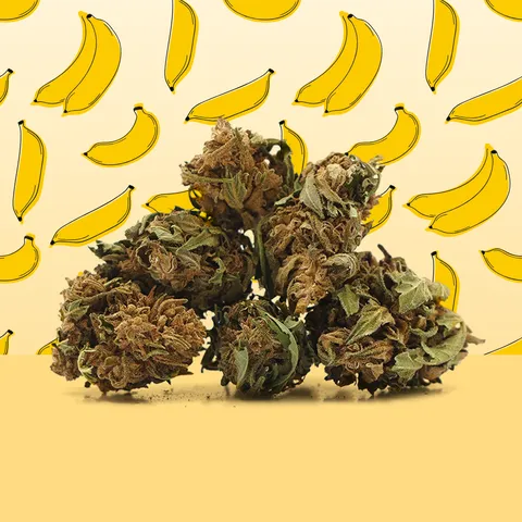 Banana Small Buds — fleur de CBD — vue principale