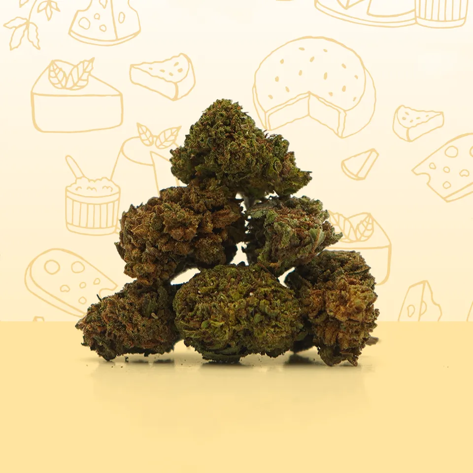 Cheese Small Buds — fleur de CBD — vue principale