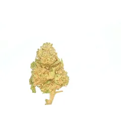 Hawaiian Small Buds — fleur de CBD — vue 3 sur 3