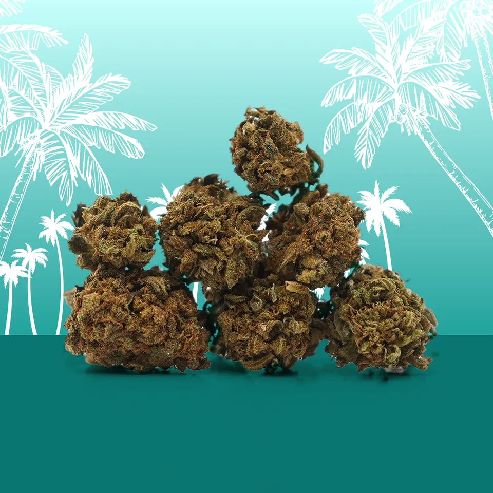 Hawaiian Small Buds — fleur de CBD — vue principale